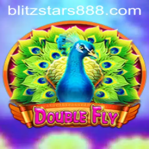 DoubleFly: The Exciting New Gaming Sensation